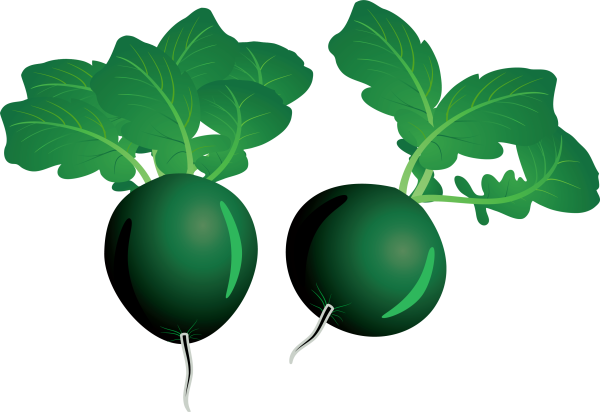 Редька мультяшная