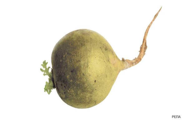 Карточки репа для детей