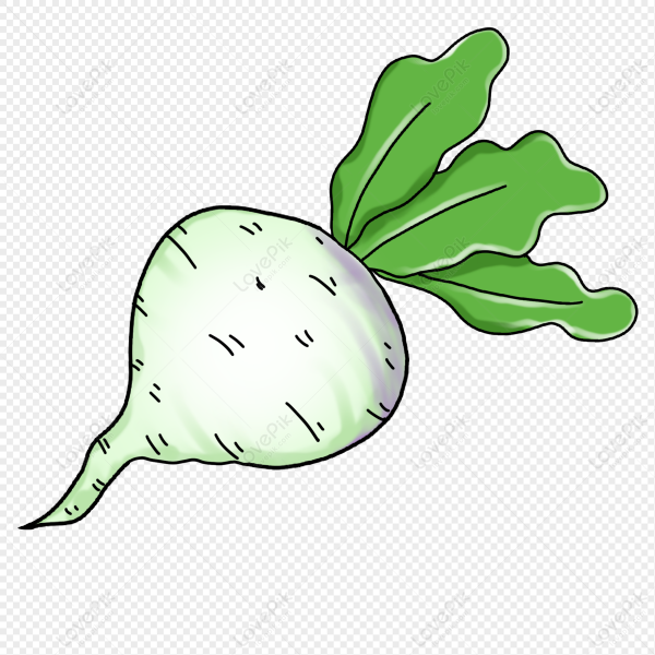 Редька для детей на прозрачном фоне