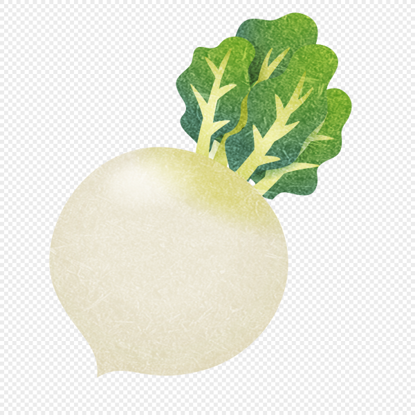 Редька для детей на прозрачном фоне