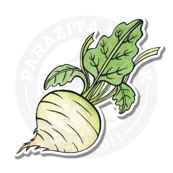 Редька мультяшный