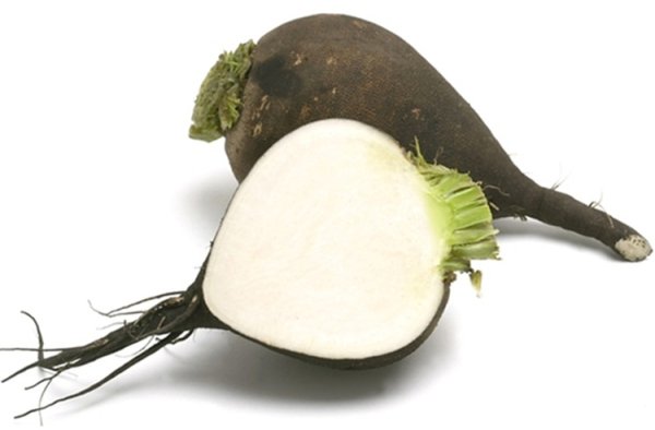 Редька без фона