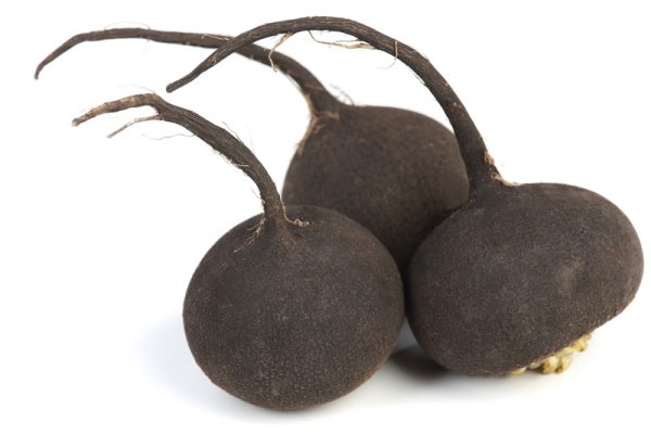 Редька на прозрачном фоне