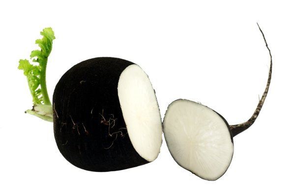 Черная редька от кашля