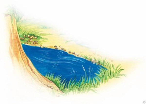 Ручей на белом фоне