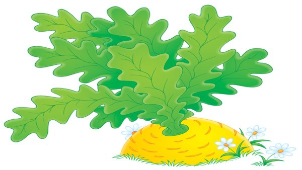 Репка без фона