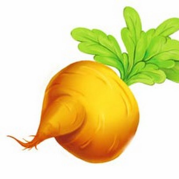 Репа для детей