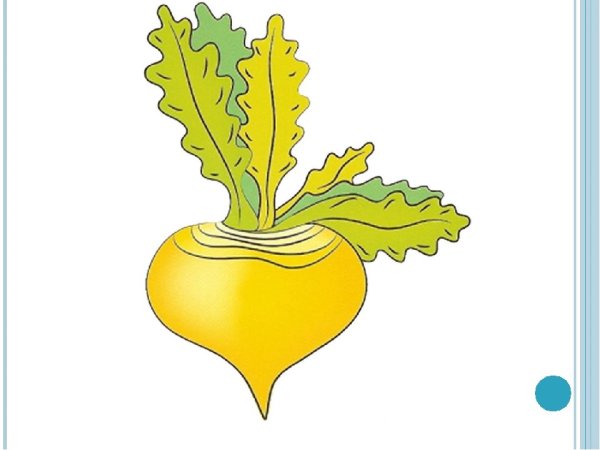 Репа и Репка