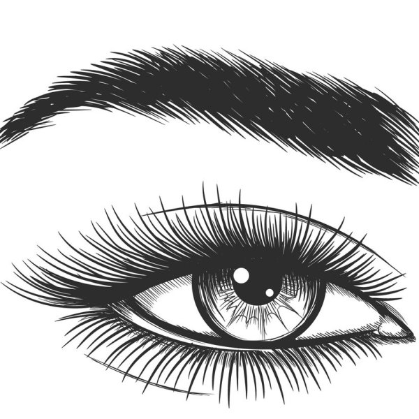 Глазки и бровки