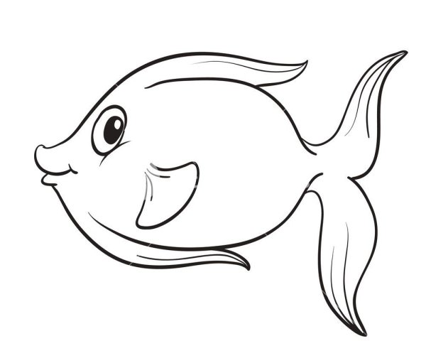 Рыба контур