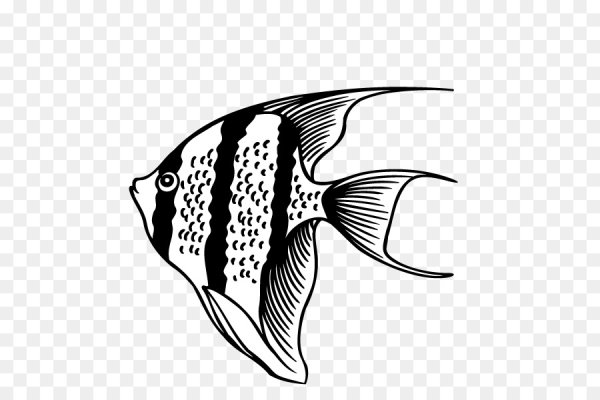 Силуэт рыбы