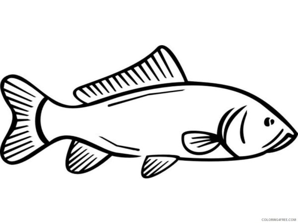 Силуэт рыбки