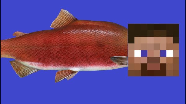 Рыба из майна