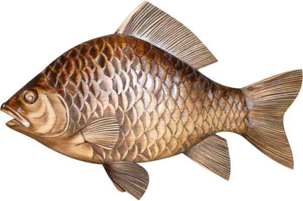 Рыбка на прозрачном фоне