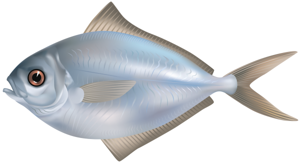 Рыбка на прозрачном фоне