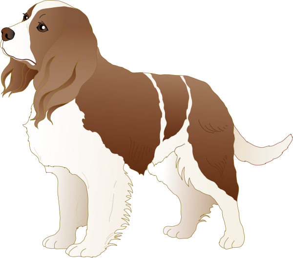 Картина собаки на белом фоне