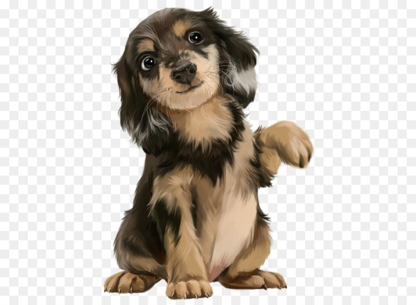 Щенок без фона