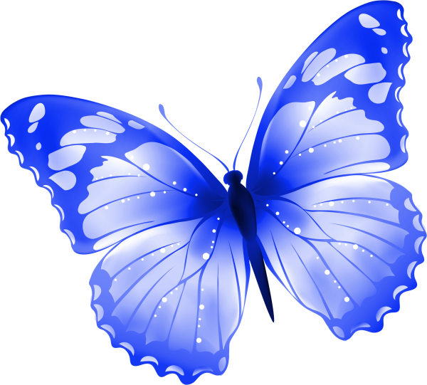 Бабочки картинки на белом фоне