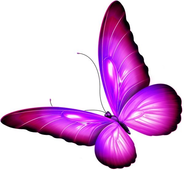 Розовые бабочки