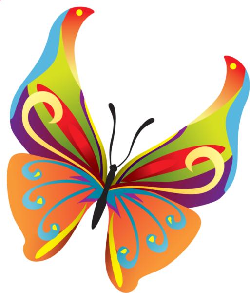 Картинка бабочка на прозрачном фоне