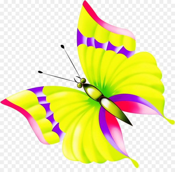 Бабочки нарисованные на прозрачном фоне