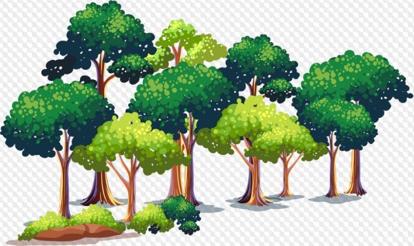 Дерево для детей