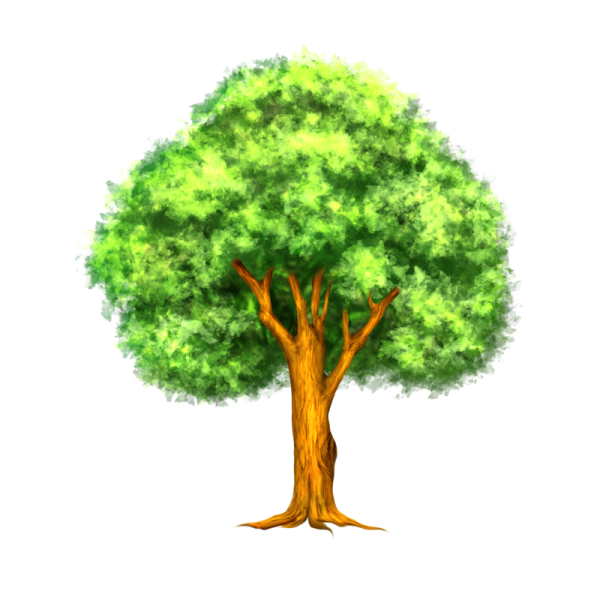 Дерево для детей