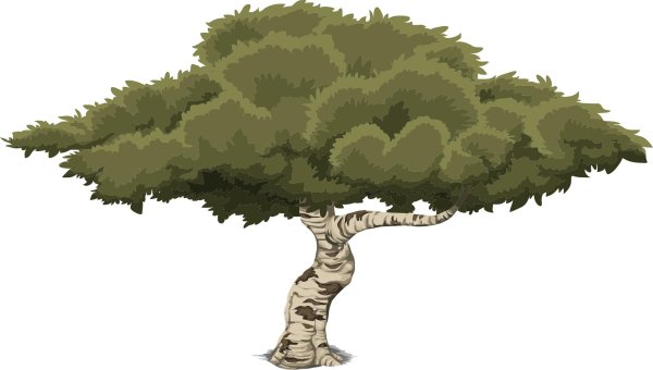 Дерево иллюстрация