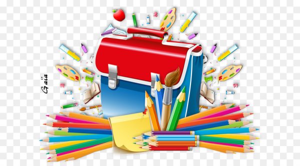 Школьные атрибуты без фона