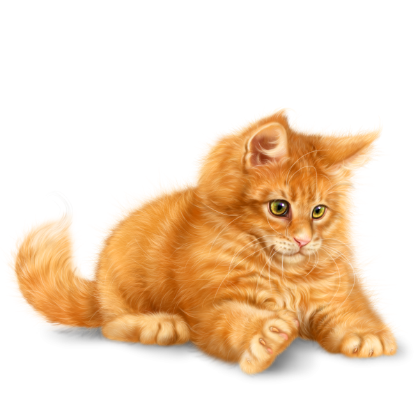 Рыжая кошка