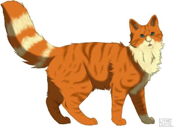 Рыжие коты Воители