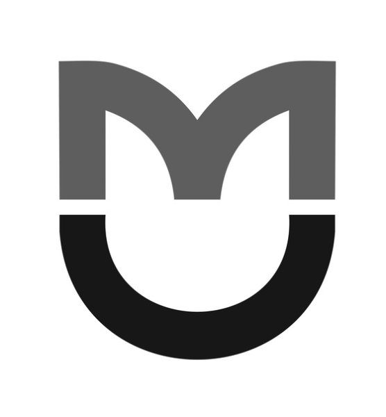 РНИМУ им Пирогова эмблема