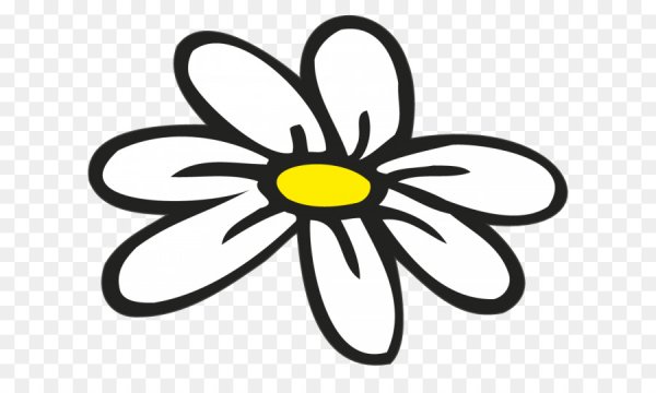 Ромашка вектор