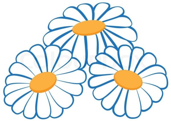 Цветы на окна цветные ромашки