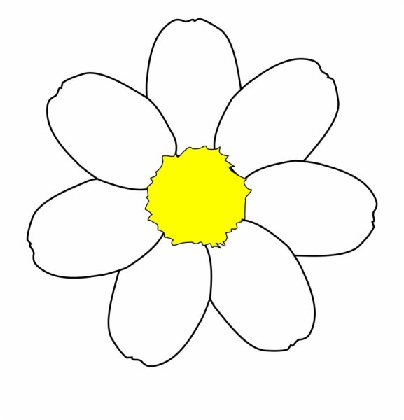 Ромашка рисунок