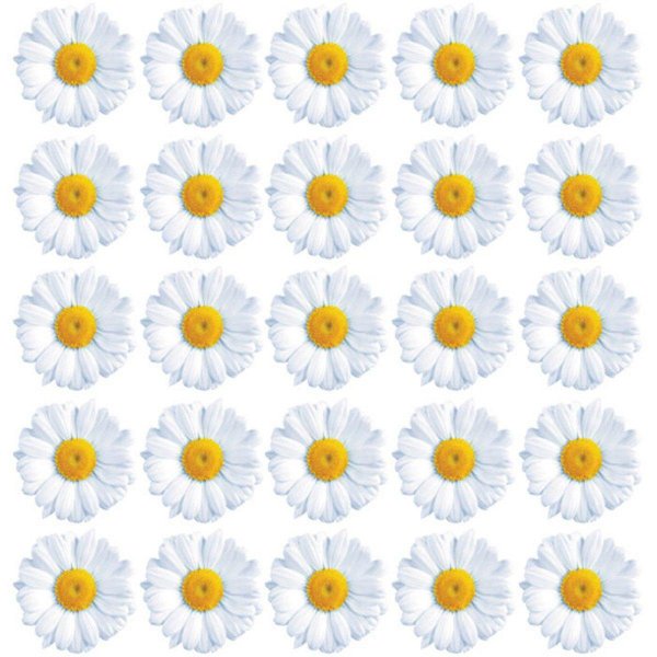 Раздаточный материал цветочки