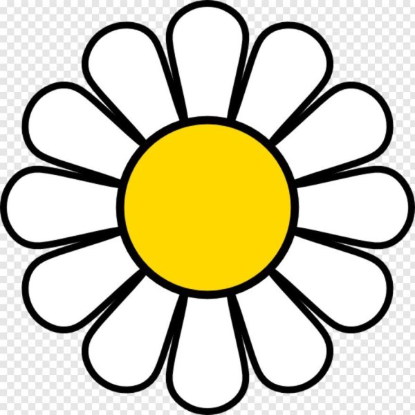 Трафарет ромашки