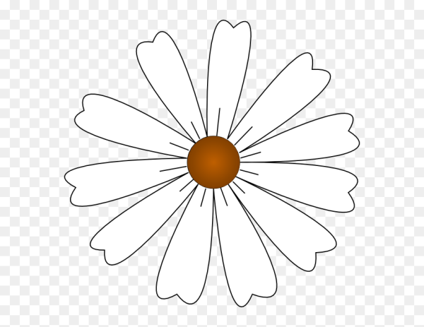 Контур ромашки на прозрачном фоне