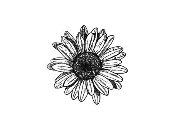 Гербера тату эскиз