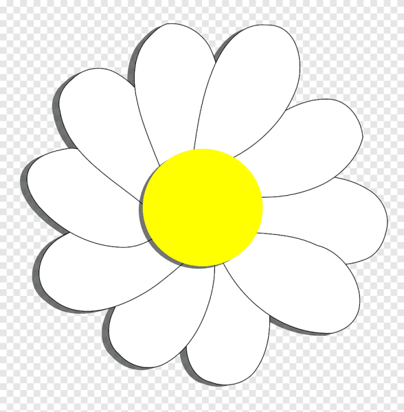 Ромашки картинки