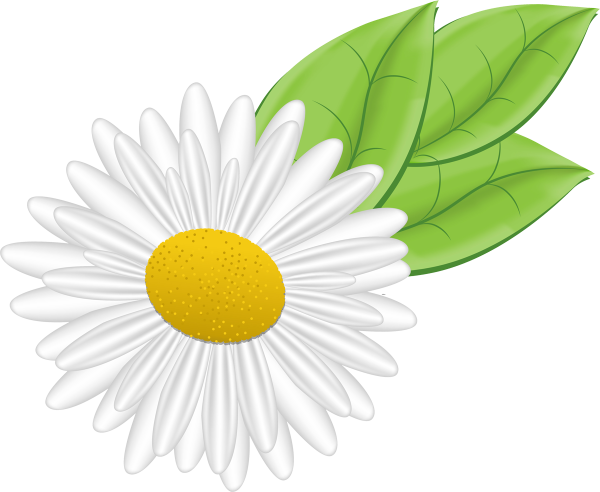 Ромашки мультяшные