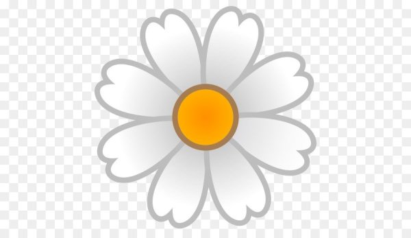 Стикеры цветы на прозрачном фоне