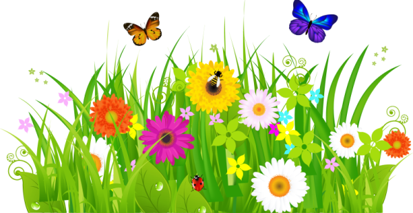 Бабочки цветочки травка