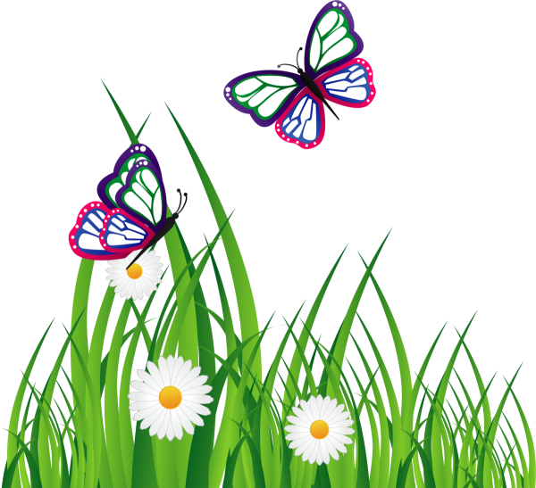 Нарисовать бабочку на травке