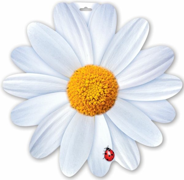 Крупные цветы для украшения ромашки