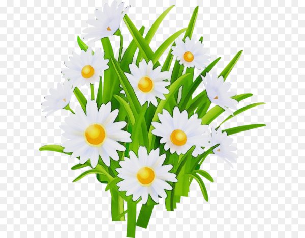 Ромашка вектор