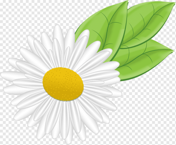 Ромашки мультяшные