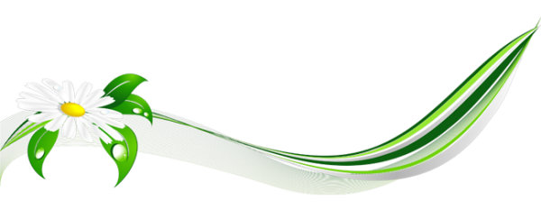 Полоска с ромашками