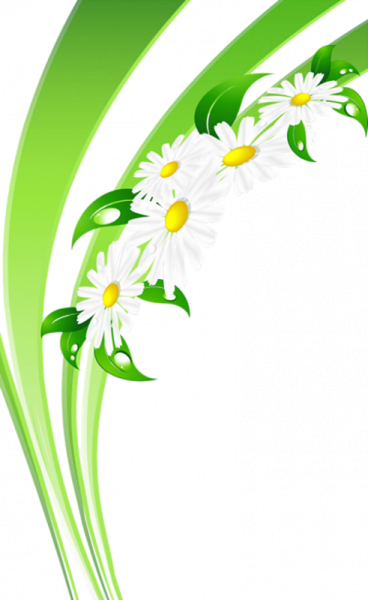 Ромашки уголок