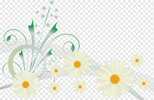 Орнамент из ромашек